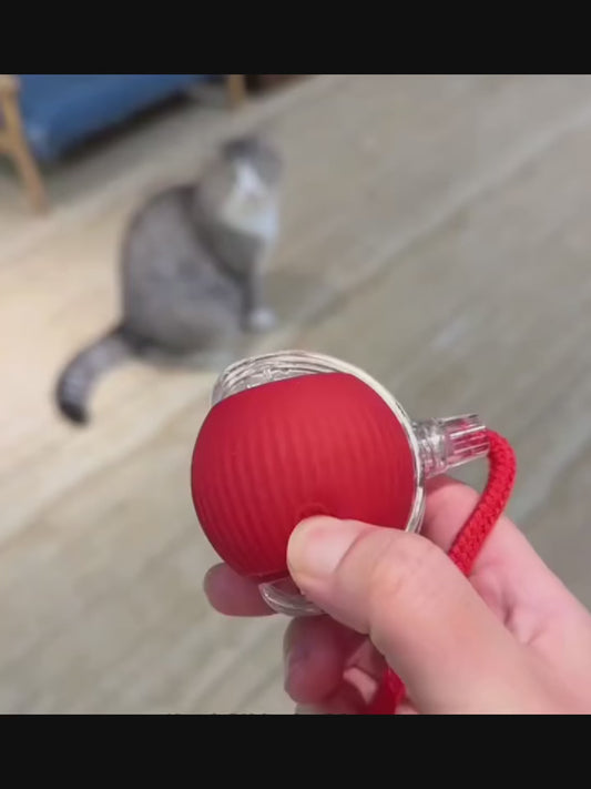 Cat Interactive Ball Toys Smart Automatic Rolling Ball